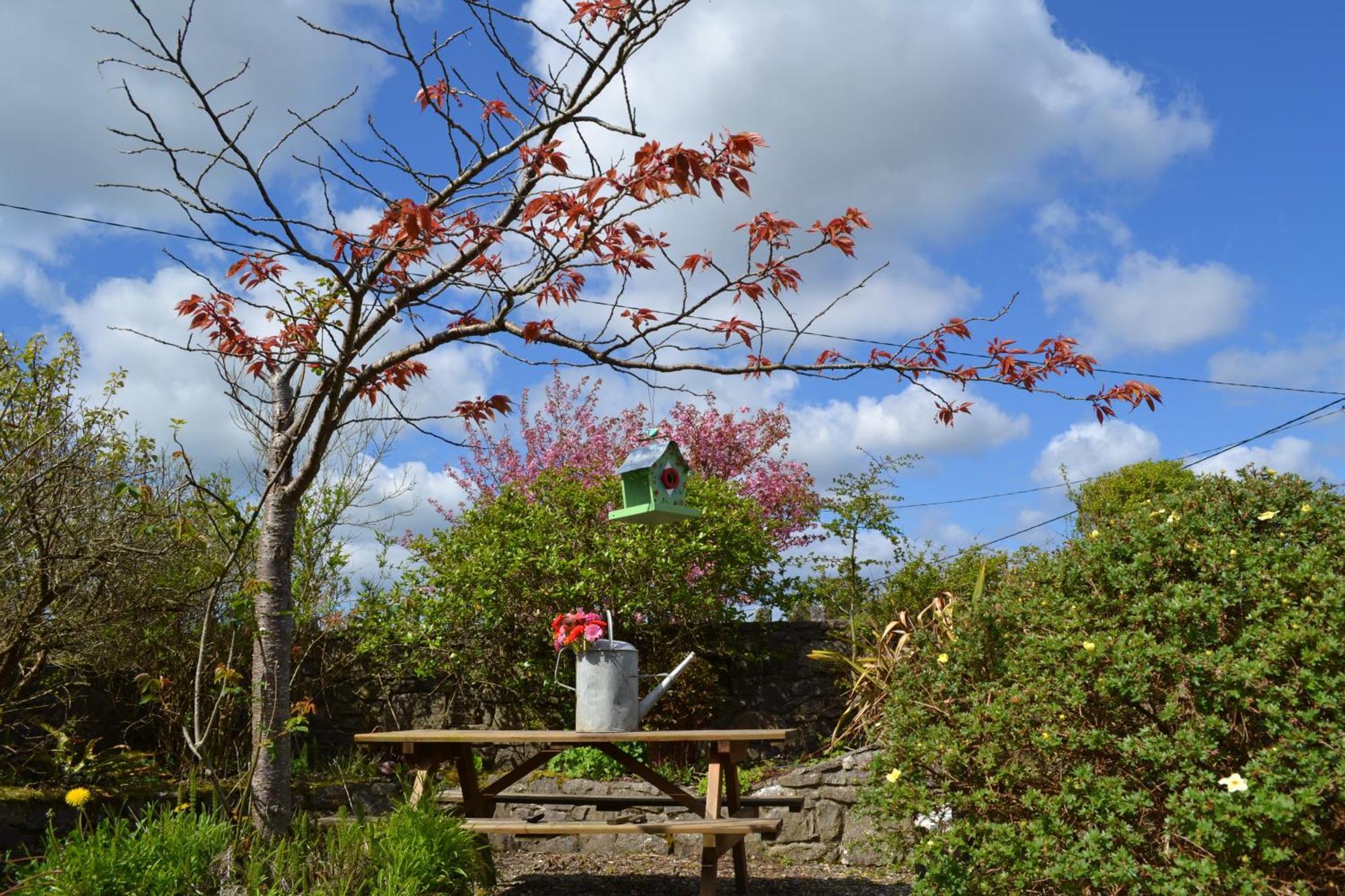 Wild Honey Inn Лисдунварна Екстериор снимка