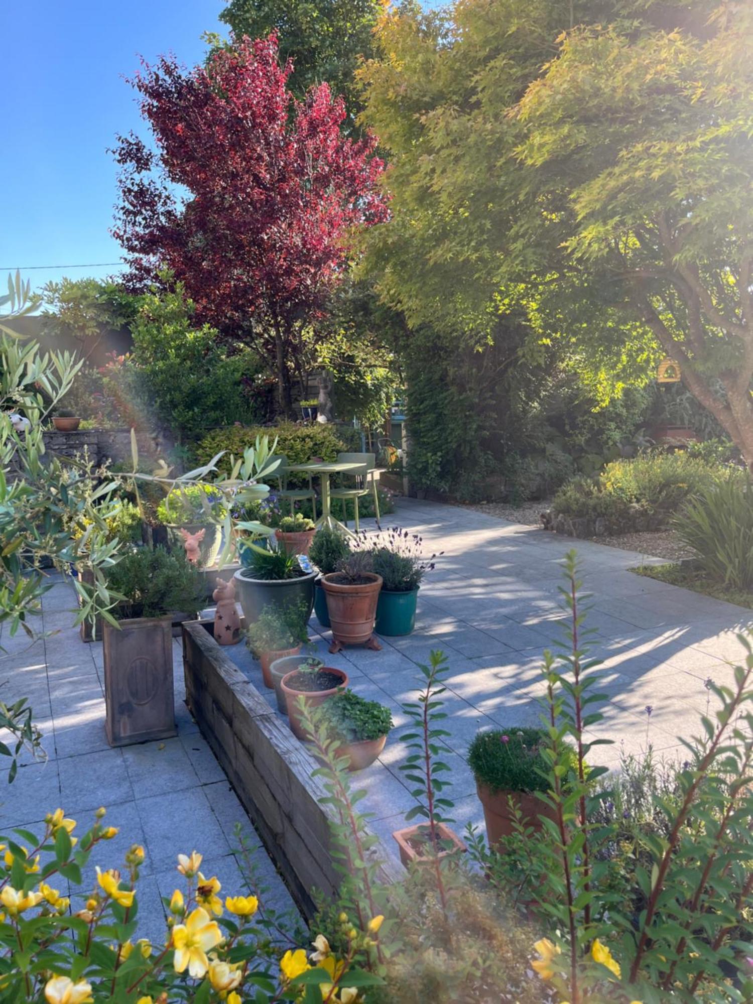 Wild Honey Inn Лисдунварна Екстериор снимка