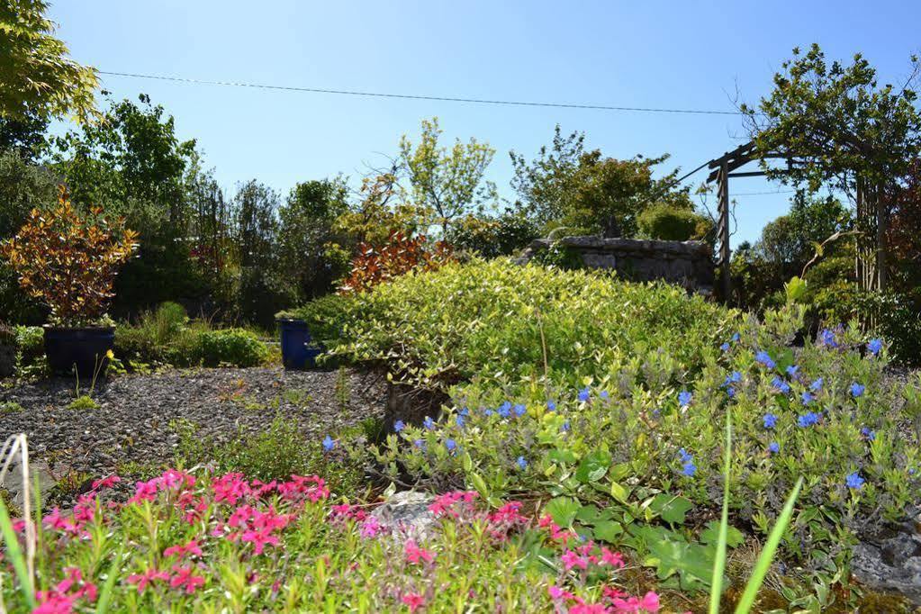 Wild Honey Inn Лисдунварна Екстериор снимка